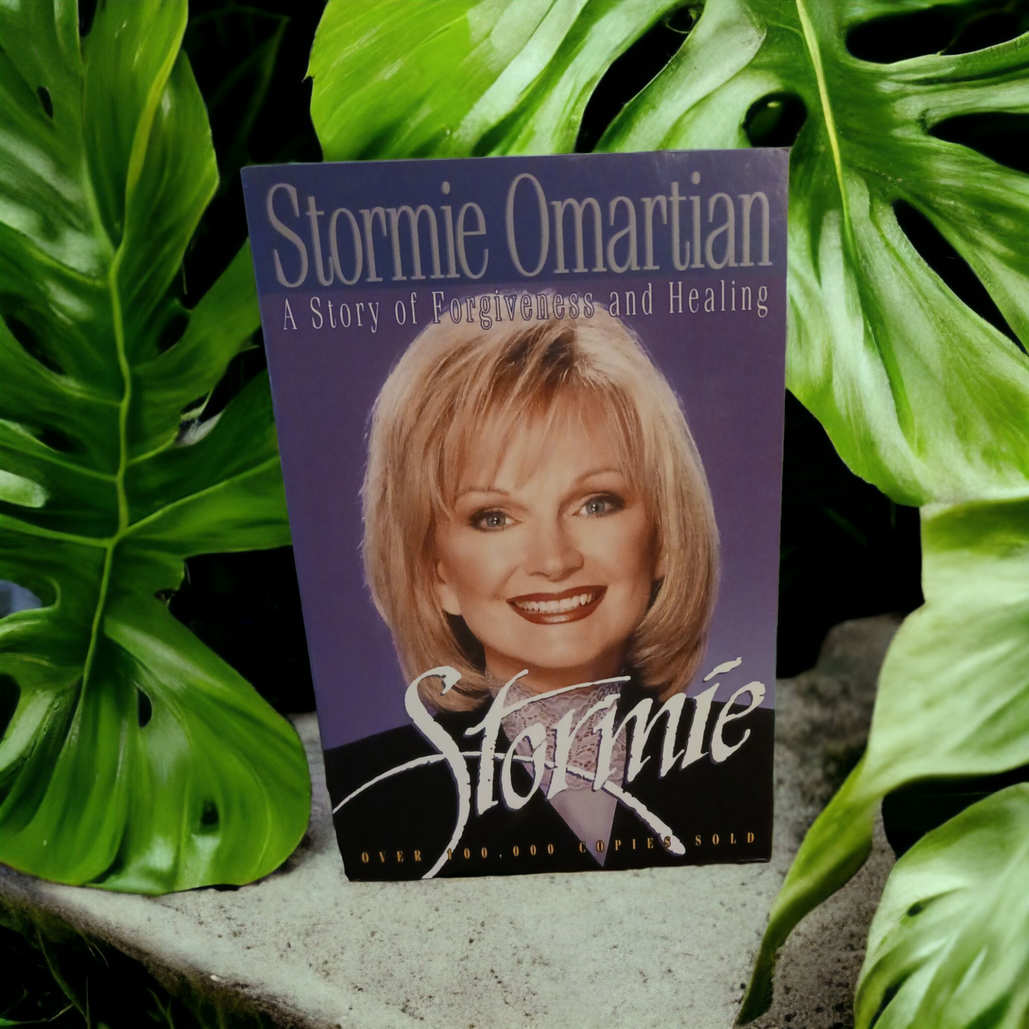 Stormie: A Story of Forgiveness and Healing