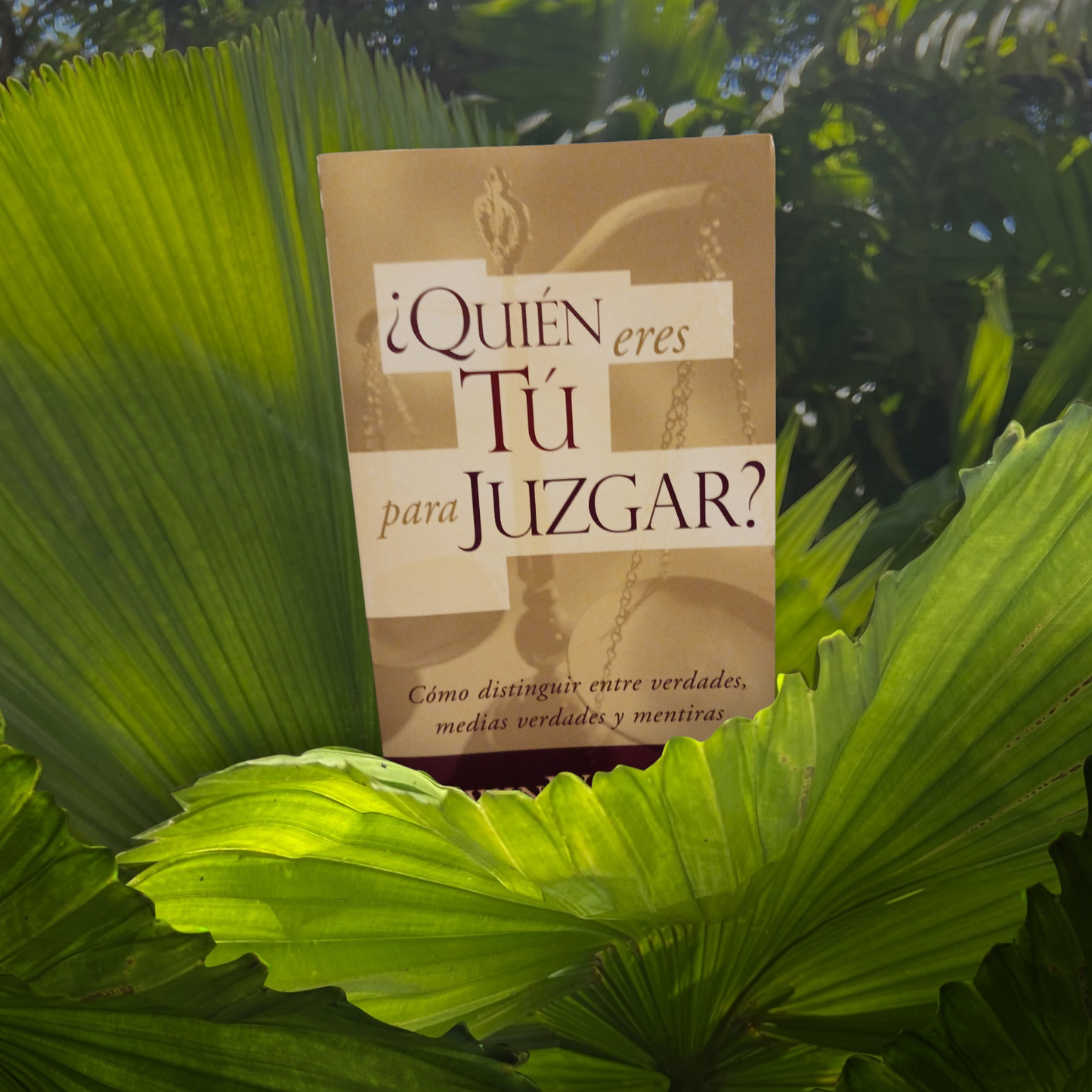 ¿Quién eres tú para juzgar?