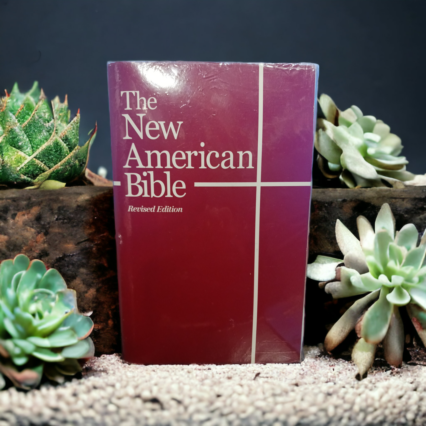 THE NEW AMERICAN BIBLE