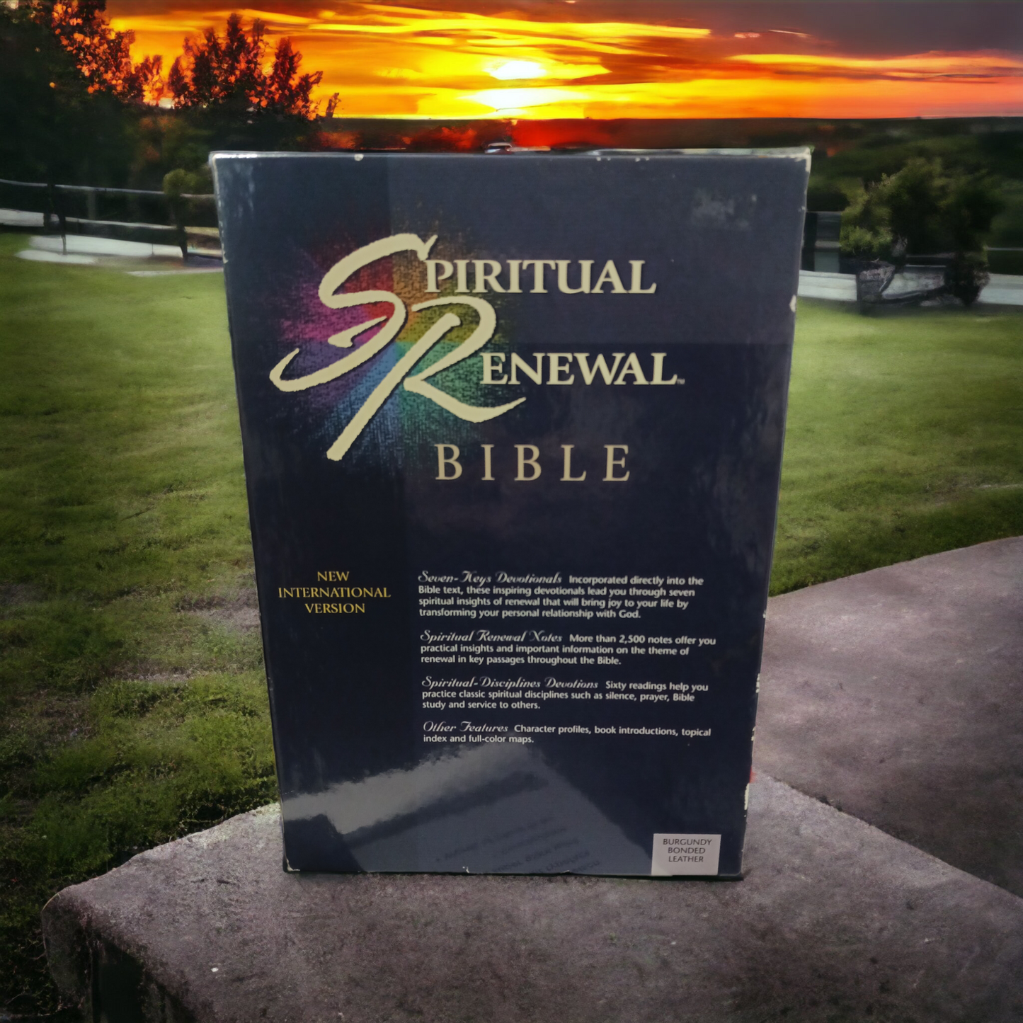 Spiritual Renewal Bible NIV