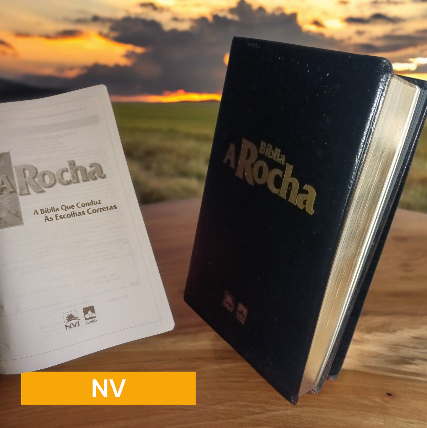 Biblia en Portugues - LA ROCHA