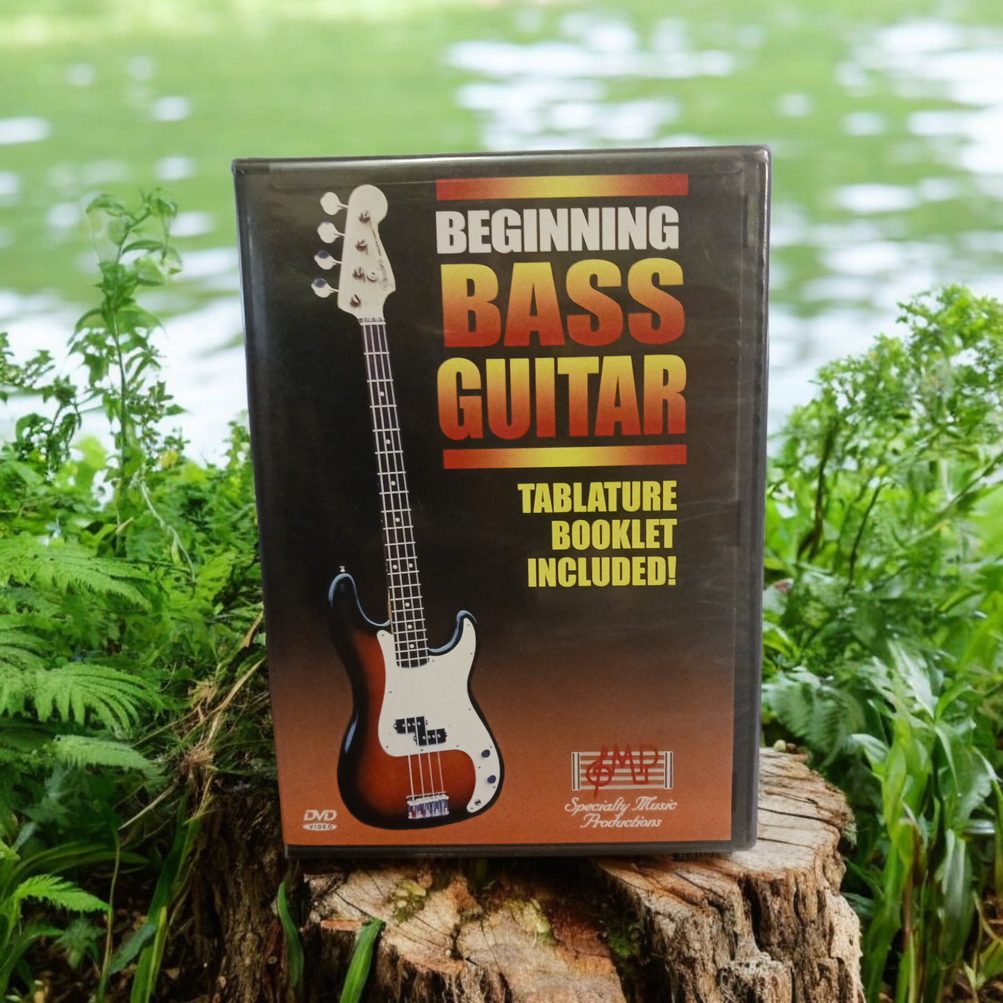 BEGINNING BASS GUITAR