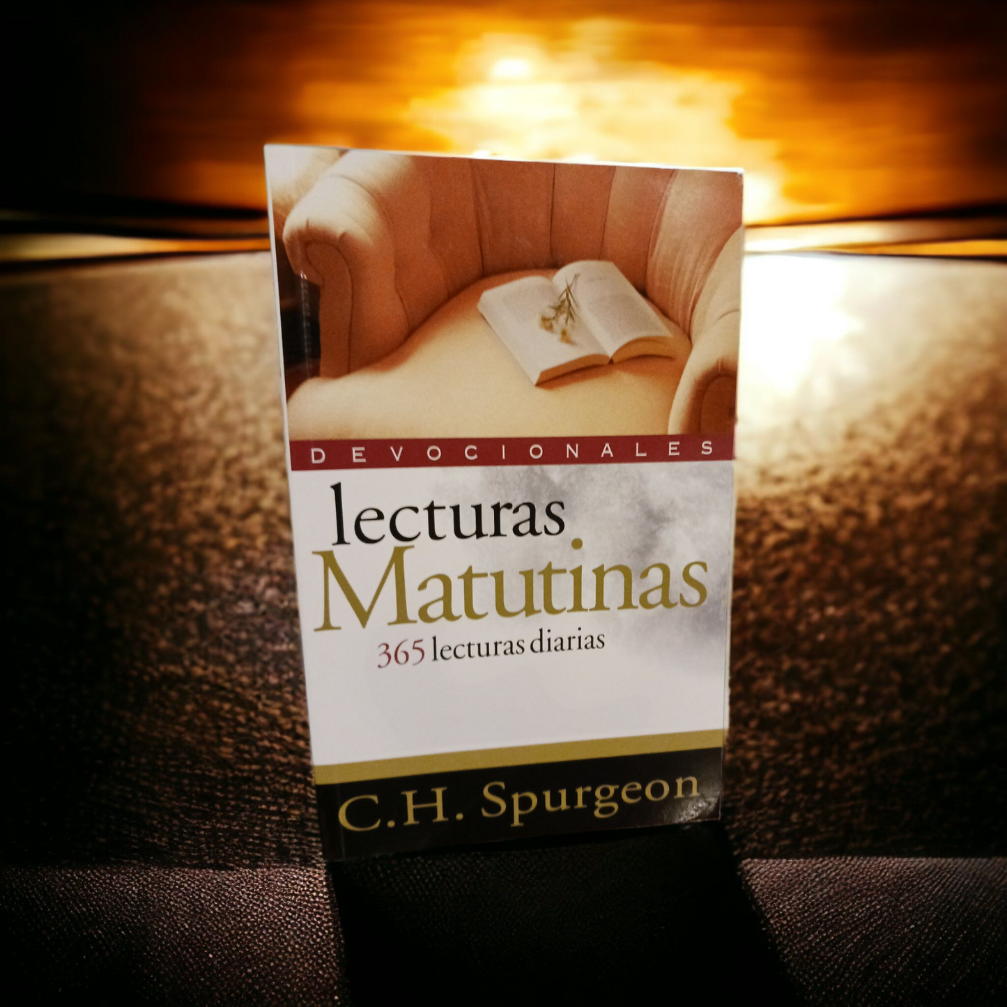 Lecturas Matutinas: 365 lecturas diarias (Spanish Edition)