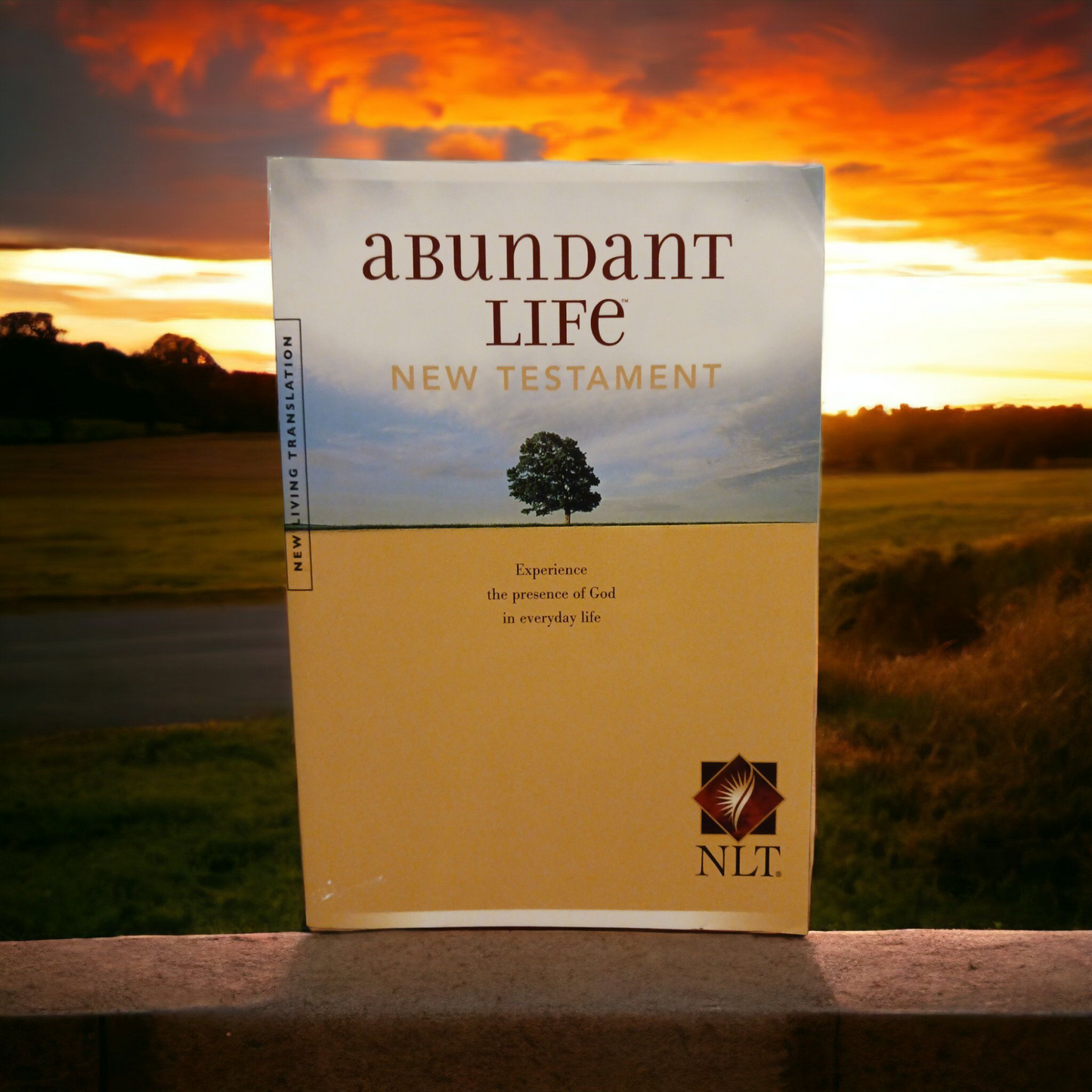 Abundant Life Bible New Testament